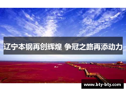 辽宁本钢再创辉煌 争冠之路再添动力